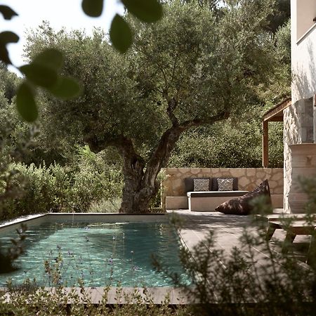 Zayn Luxury Villas, A Serene Escape, By Thinkvilla Tsiliví Eksteriør bilde